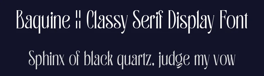 Baquine || Classy Serif Display Font by ErmediaStudio — Display Font — thumbnail 2