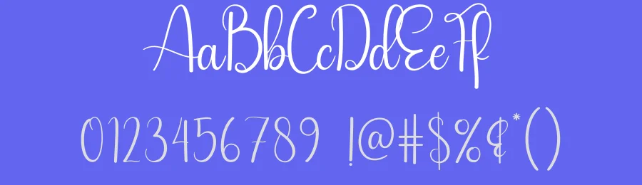 Barbecue Script Font by andikastudio — Script Handwritten Font — thumbnail 3