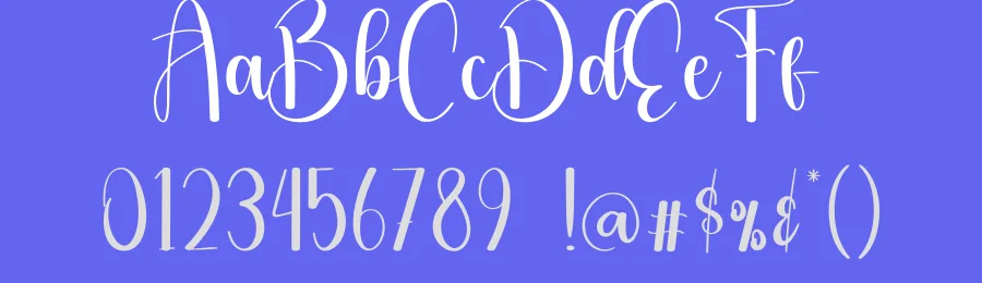 Barbecue Script Typeface by creativeletter — Script Handwritten Font — thumbnail 3