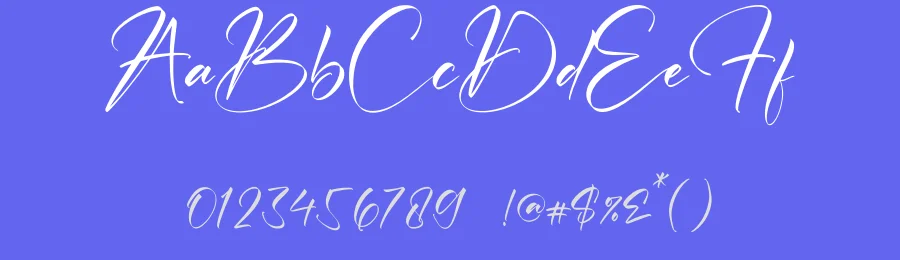 Barbera Patricia Font by letterfabric — Script Handwritten Font — thumbnail 3