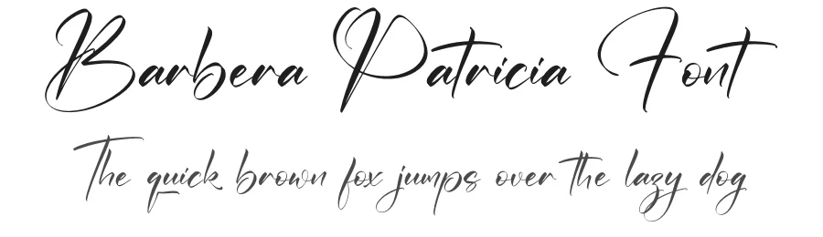 Barbera Patricia Font by letterfabric — Script Handwritten Font