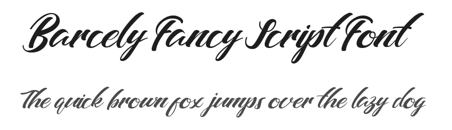Barcely Fancy Script Font by typotopia — Script Handwritten Font