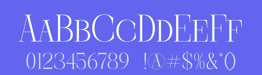 Barely Painter Serif Font by timelesstype.co — Display Font — thumbnail 3