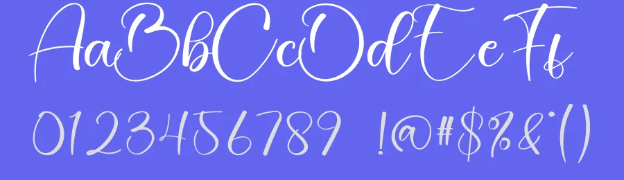 Bargain Calligraphy Font by creativeletter — Script Handwritten Font — thumbnail 3