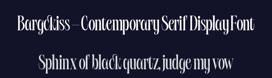 Bargckiss – Contemporary Serif Display Font by timelesstype.co — Display Font — thumbnail 2