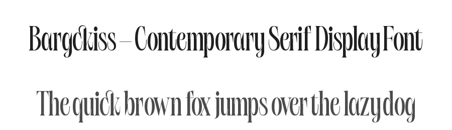 Bargckiss – Contemporary Serif Display Font by timelesstype.co — Display Font