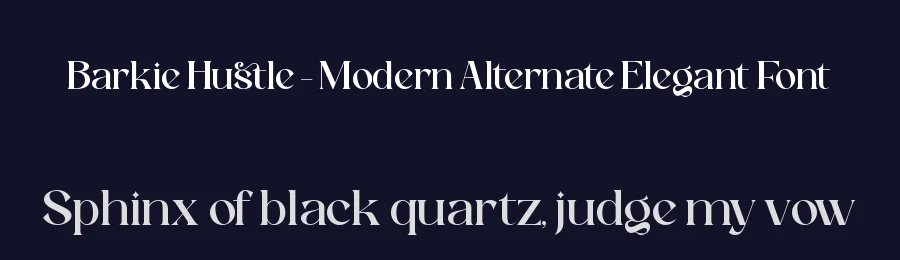Barkie Hustle – Modern Alternate Elegant Font by timelesstype.co — Serif Font — thumbnail 2