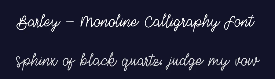 Barley – Monoline Calligraphy Font by Alpaprana — Script Handwritten Font — thumbnail 2