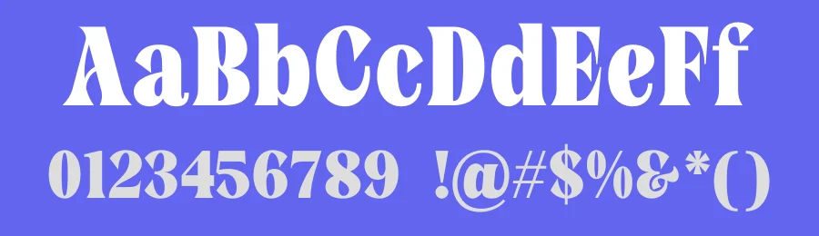 Barnola Font by Rantautype — Serif Font — thumbnail 3
