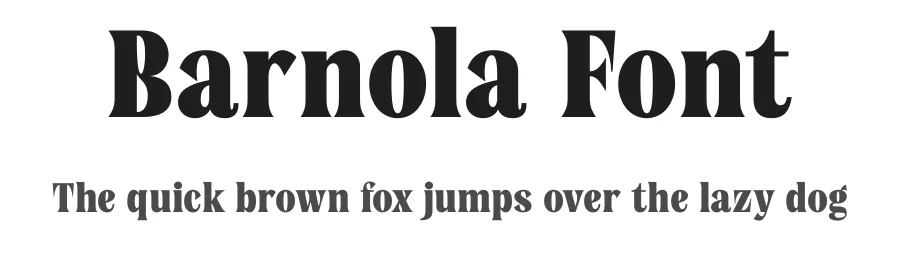 Barnola Font by Rantautype — Serif Font