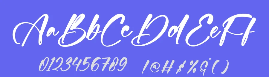 Bartely Cactus Font by stylishtype.co — Script Handwritten Font — thumbnail 3