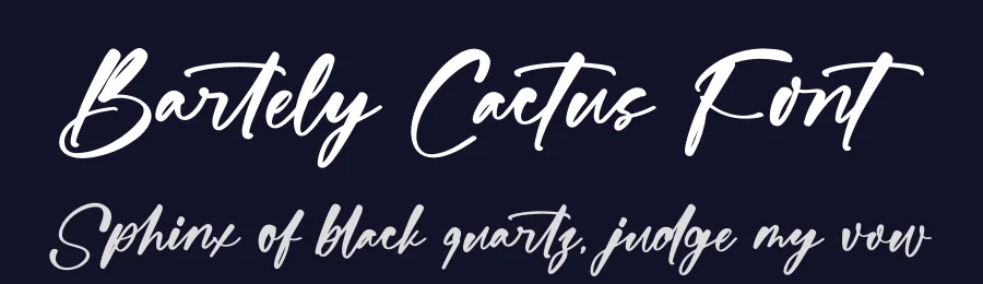 Bartely Cactus Font by stylishtype.co — Script Handwritten Font — thumbnail 2