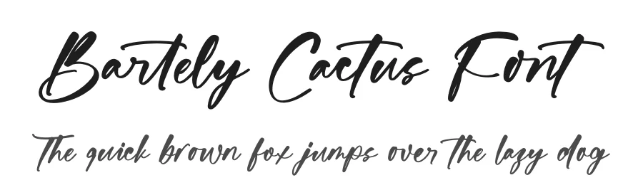 Bartely Cactus Font by stylishtype.co — Script Handwritten Font