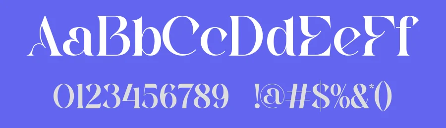 Basera || Modern Classy Serif Font by ErmediaStudio — Display Font — thumbnail 3