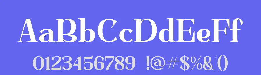 Basfegu Font by Storytype — Serif Font — thumbnail 3