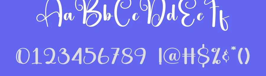 Basketball Calligraphy Script Font by andikastudio — Display Font — thumbnail 3