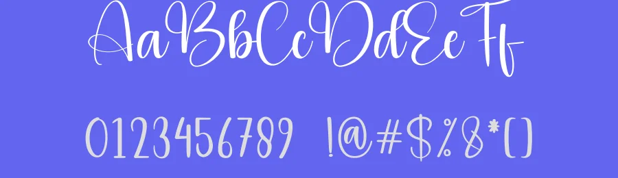 Basketball – Luxury Handwritten Script Font by andikastudio — Script Handwritten Font — thumbnail 3