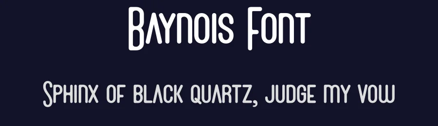 Baynois Font by Rantautype — Display Font — thumbnail 2