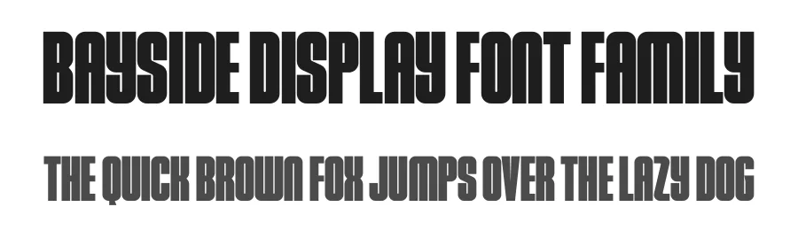 Bayside Display Font Family by Indieground Design Inc. β Sans Serif Font