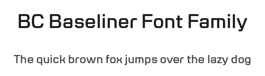 BC Baseliner Font Family by ล imon Matฤjka โ Sans Serif Font