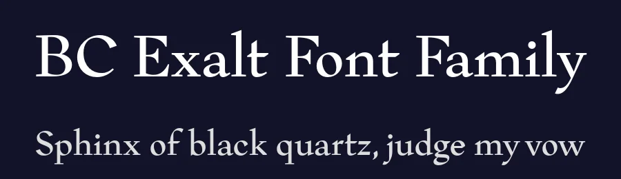 BC Exalt Font Family by Filip Kraus — Serif Font — thumbnail 2