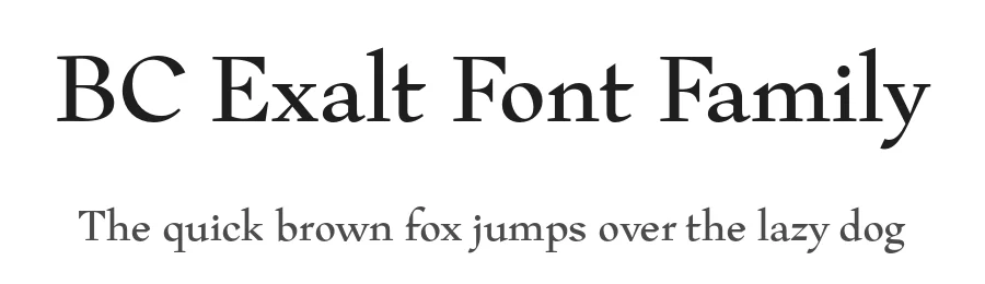 BC Exalt Font Family by Filip Kraus β Serif Font