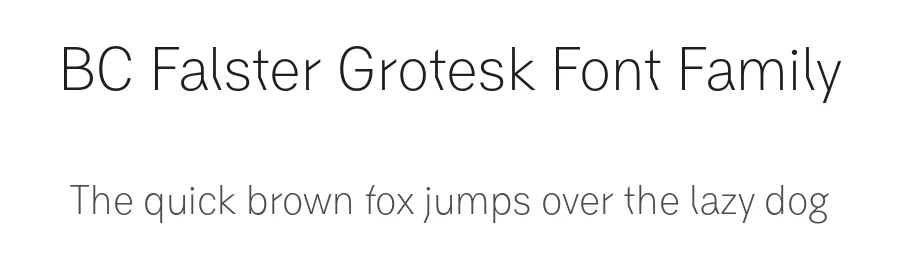 BC Falster Grotesk Font Family by Jan Novák — Sans Serif Font