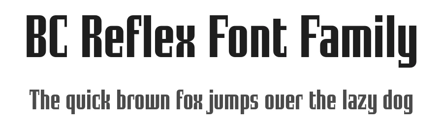 BC Reflex Font Family by Aleš Najbrt , Marek Pistora — Display Font