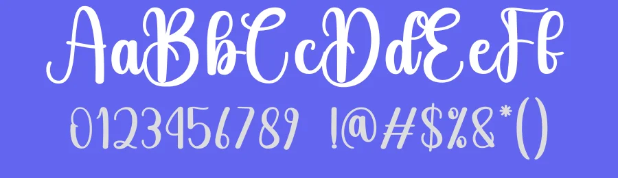 Beach Boys Script Font by andikastudio — Script Handwritten Font — thumbnail 3