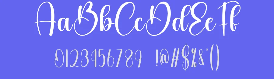 Beach Calligraphy Script Font by creativeletter — Script Handwritten Font — thumbnail 3