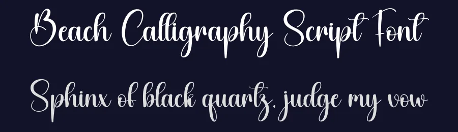 Beach Calligraphy Script Font by creativeletter — Script Handwritten Font — thumbnail 2
