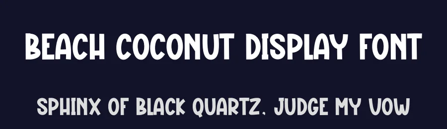 Beach Coconut Display Font by creativeletter — Script Handwritten Font — thumbnail 2