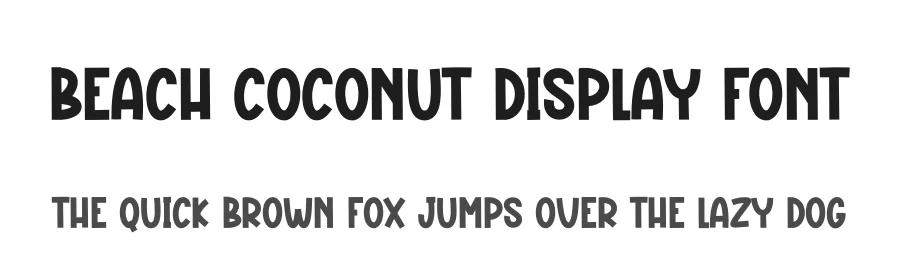 Beach Coconut Display Font by creativeletter — Script Handwritten Font