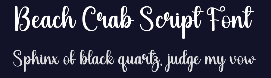 Beach Crab Script Font by andikastudio — Script Handwritten Font — thumbnail 2