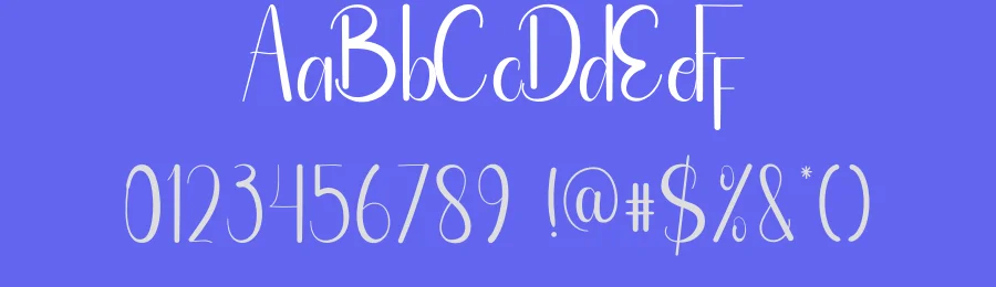 Beach Style Script Font by andikastudio — Display Font — thumbnail 3