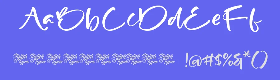 Beach Vista – Handwritten Script Font by stylishtype.co — Serif Font — thumbnail 3