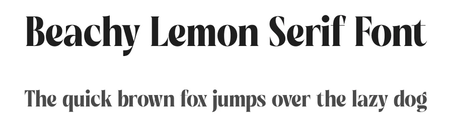 Beachy Lemon Serif Font by timelesstype.co — Display Font