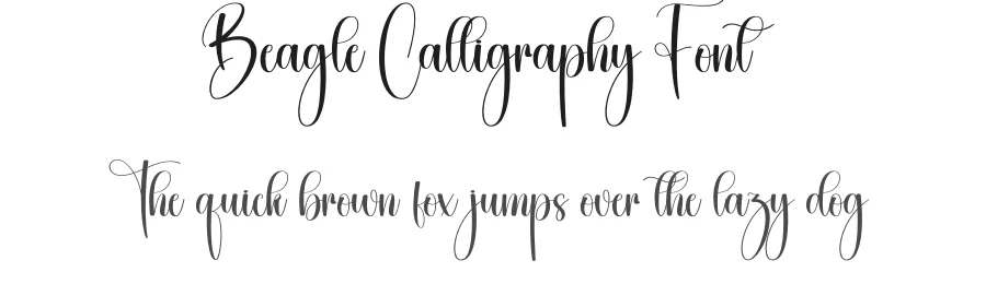 Beagle Calligraphy Font by creativeletter — Script Handwritten Font