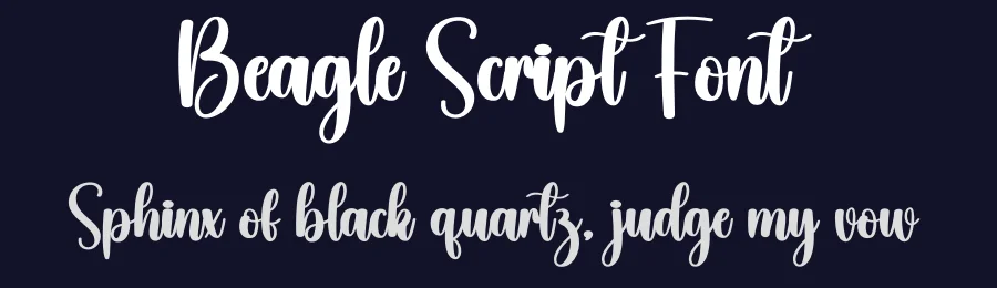 Beagle Script Font by creativeletter — Script Handwritten Font — thumbnail 2