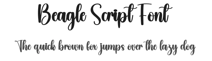 Beagle Script Font by creativeletter — Script Handwritten Font