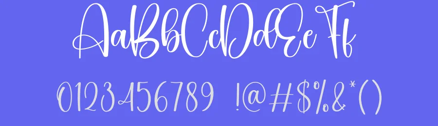 Beautica Script Font by creativeletter — Script Handwritten Font — thumbnail 3