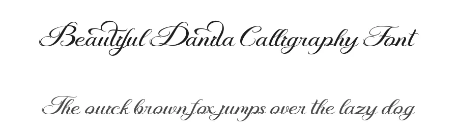 Beautiful Danila Calligraphy Font by Yoga Letter — Script Handwritten Font