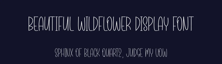 Beautiful Wildflower Display Font by andikastudio — Display Font — thumbnail 2
