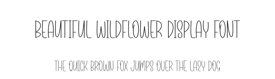 Beautiful Wildflower Display Font by andikastudio — Display Font