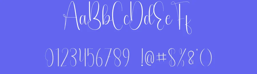 Beauty Calligraphy Font by andikastudio — Script Handwritten Font — thumbnail 3