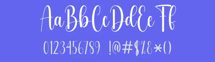Beauty Darling Script Font by DN Creative — Script Handwritten Font — thumbnail 3