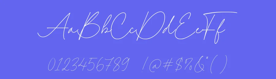 Beauty Paradise Font by Timur type — Script Handwritten Font — thumbnail 3