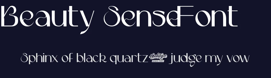 Beauty Sense Font by noahtype — Display Font — thumbnail 2