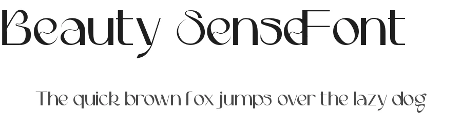 Beauty Sense Font by noahtype — Display Font