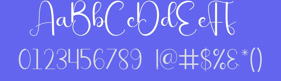 Beauty Stayhome Script Font by andikastudio — Script Handwritten Font — thumbnail 3